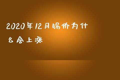 2020年12月锡价为什么会上涨_https://m.15771688.com_期货开户_第1张
