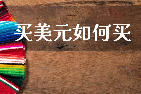 买美元如何买_https://m.15771688.com_期货手续费_第1张
