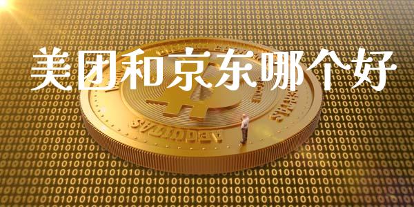 美团和京东哪个好_https://m.15771688.com_道指实时行情_第1张