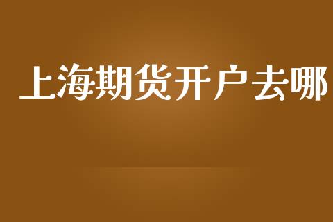 上海期货开户去哪_https://m.15771688.com_期货开户_第1张