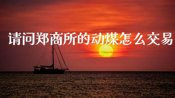 请问郑商所的动煤怎么交易_https://m.15771688.com_期货开户_第1张