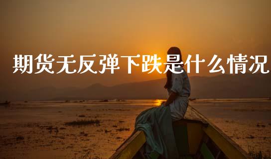 期货无反弹下跌是什么情况_https://m.15771688.com_期货手续费_第1张
