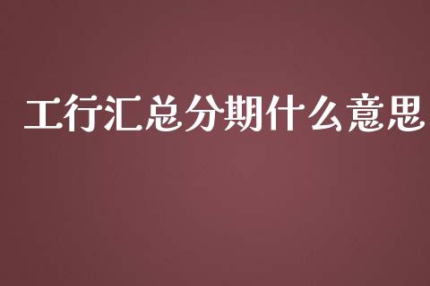 工行汇总分期什么意思_期货开户_第1张_期货开户_期货手续费_道指实时行情_美国道指 工行汇总分期什么意思_https://m.15771688.com_期货开户_第1张