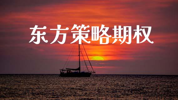 东方策略期权_https://m.15771688.com_期货手续费_第1张