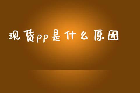 现货pp是什么原因_https://m.15771688.com_期货手续费_第1张