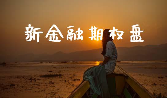 新金融期权盘_https://m.15771688.com_道指实时行情_第1张