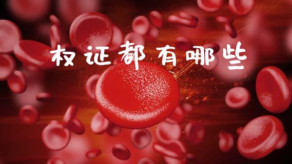权证都有哪些_https://m.15771688.com_期货手续费_第1张