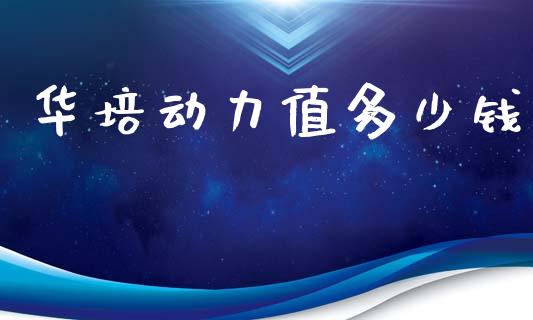 华培动力值多少钱_https://m.15771688.com_道指实时行情_第1张