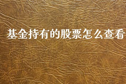基金持有的股票怎么查看_https://m.15771688.com_期货开户_第1张