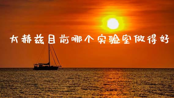 太赫兹目前哪个实验室做得好_https://m.15771688.com_期货手续费_第1张