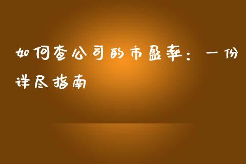如何查公司的市盈率：一份详尽指南_https://m.15771688.com_美国道指_第1张