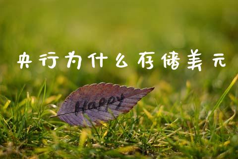 央行为什么存储美元_https://m.15771688.com_期货手续费_第1张