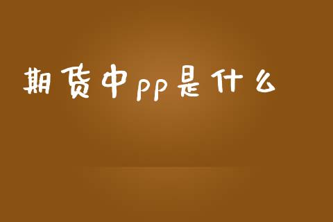 期货中pp是什么_https://m.15771688.com_美国道指_第1张