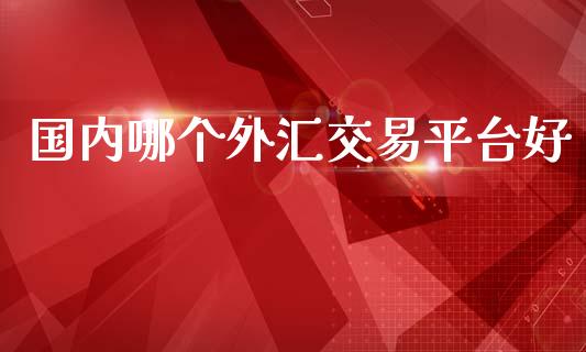 国内哪个外汇交易平台好_https://m.15771688.com_道指实时行情_第1张