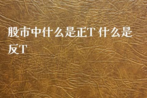股市中什么是正T 什么是反T_https://m.15771688.com_期货手续费_第1张