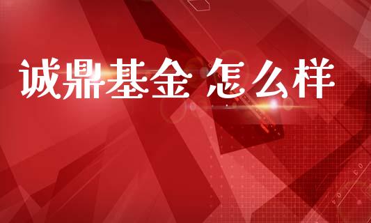 诚鼎基金 怎么样_https://m.15771688.com_美国道指_第1张