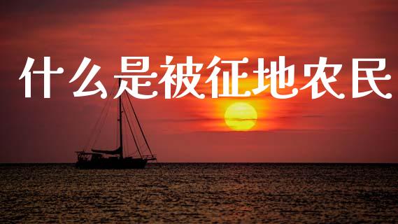 什么是被征地农民_https://m.15771688.com_期货开户_第1张