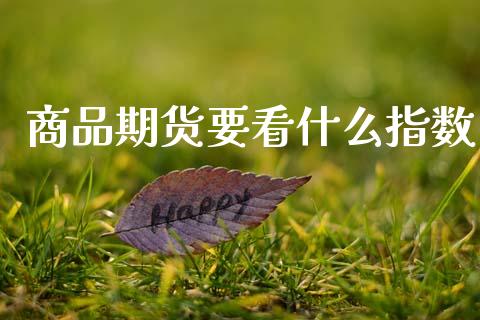 商品期货要看什么指数_https://m.15771688.com_期货手续费_第1张