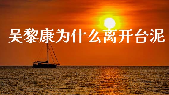 吴黎康为什么离开台泥_https://m.15771688.com_期货开户_第1张