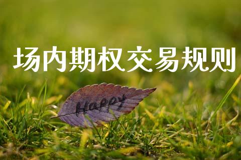 场内期权交易规则_https://m.15771688.com_期货开户_第1张