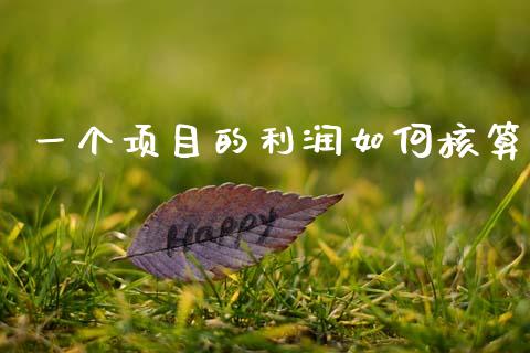 一个项目的利润如何核算_https://m.15771688.com_期货开户_第1张