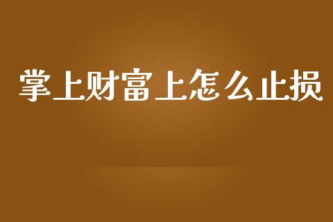 掌上财富上怎么止损_https://m.15771688.com_道指实时行情_第1张