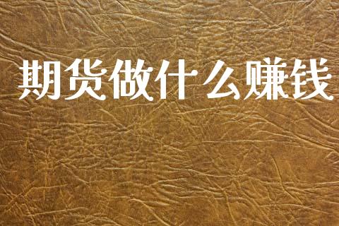 期货做什么赚钱_https://m.15771688.com_期货手续费_第1张