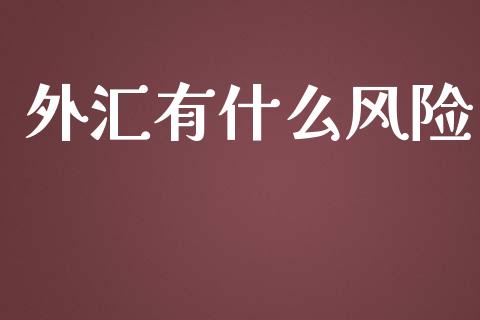 外汇有什么风险_https://m.15771688.com_期货手续费_第1张