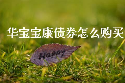 华宝宝康债券怎么购买_https://m.15771688.com_道指实时行情_第1张
