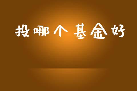 投哪个基金好_https://m.15771688.com_道指实时行情_第1张