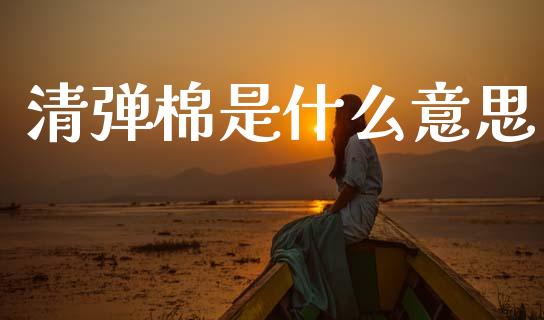 清弹棉是什么意思_https://m.15771688.com_道指实时行情_第1张