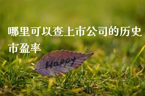 哪里可以查上市公司的历史市盈率_https://m.15771688.com_道指实时行情_第1张
