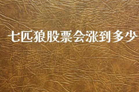 七匹狼股票会涨到多少_https://m.15771688.com_期货手续费_第1张