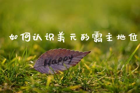 如何认识美元的霸主地位_https://m.15771688.com_美国道指_第1张