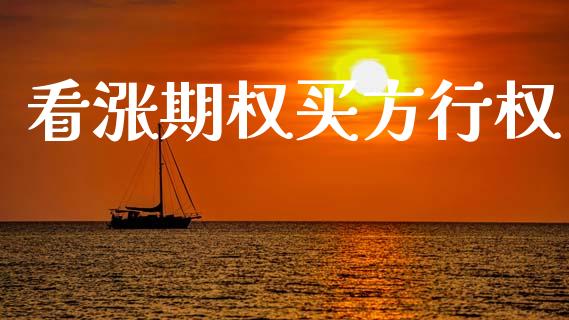 看涨期权买方行权_https://m.15771688.com_美国道指_第1张