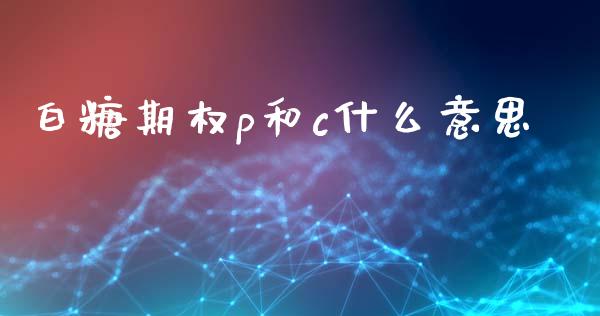 白糖期权p和c什么意思_https://m.15771688.com_道指实时行情_第1张
