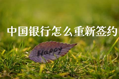 中国银行怎么重新签约_https://m.15771688.com_期货开户_第1张