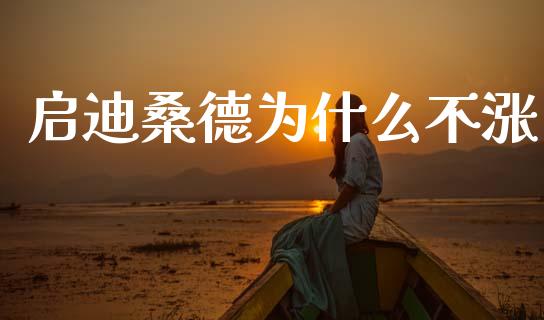启迪桑德为什么不涨_https://m.15771688.com_期货手续费_第1张