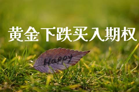 黄金下跌买入期权_https://m.15771688.com_期货手续费_第1张
