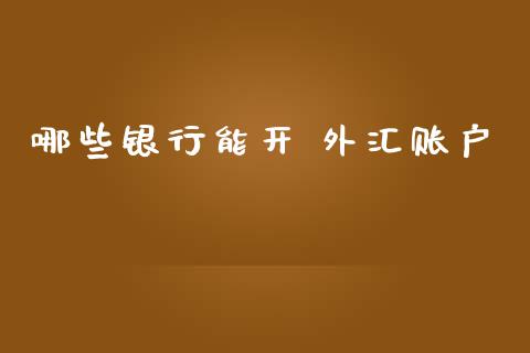 哪些银行能开 外汇账户_https://m.15771688.com_道指实时行情_第1张