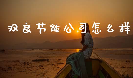 双良节能公司怎么样_https://m.15771688.com_美国道指_第1张