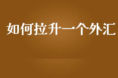 如何拉升一个外汇_https://m.15771688.com_美国道指_第1张