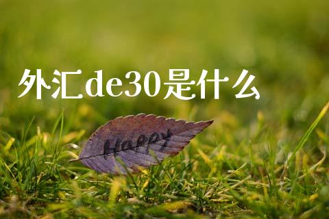 外汇de30是什么_https://m.15771688.com_美国道指_第1张