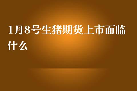 1月8号生猪期货上市面临什么_https://m.15771688.com_美国道指_第1张