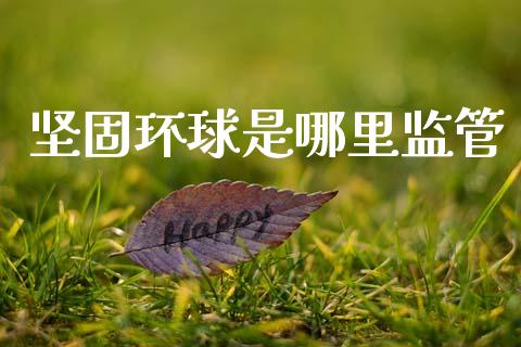 坚固环球是哪里监管_https://m.15771688.com_期货手续费_第1张