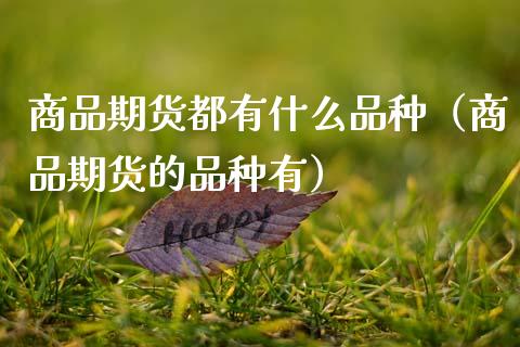商品期货都有什么品种(商品期货的品种有)_美国道指_第1张_期货开户_期货手续费_道指实时行情_美国道指 商品期货都有什么品种(商品期货的品种有)_https://m.15771688.com_美国道指_第1张