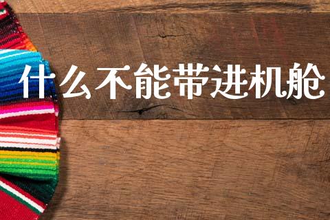 什么不能带进机舱_https://m.15771688.com_期货手续费_第1张