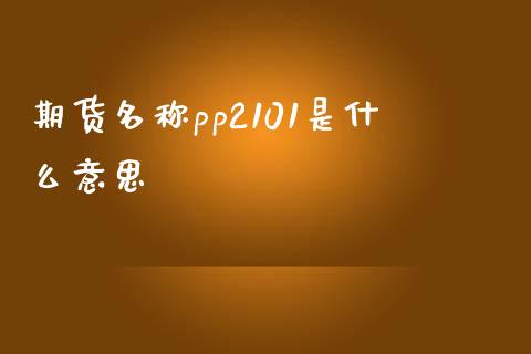 期货名称pp2101是什么意思_https://m.15771688.com_道指实时行情_第1张