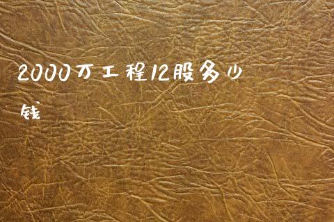 2000万工程12股多少钱_https://m.15771688.com_道指实时行情_第1张