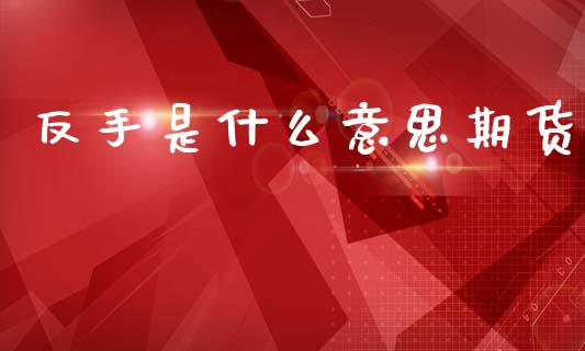 反手是什么意思期货_https://m.15771688.com_期货手续费_第1张